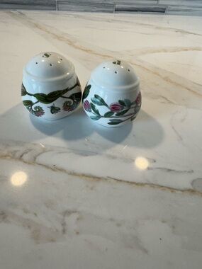 Salt and Pepper Portmeirion